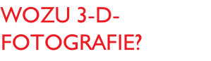 Wozu 3-D-Fotografie?
